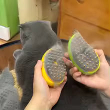 Cepillo de Vapor para Mascotas - Peine Eléctrico con Spray para Perros y Gatos